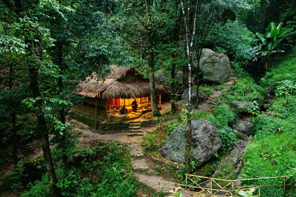 Tieedi, Forest Garden, Darjeeling